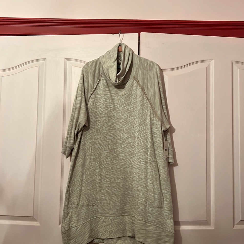 Free people oversized cowl neck dress.